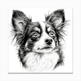 Papillon 1 Canvas Print