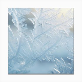 Frost On Window Canvas Print