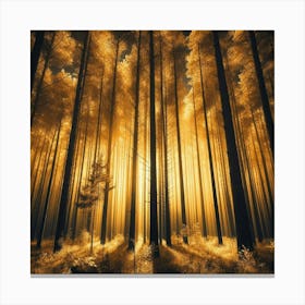 Golden Light In The Forest 2 Canvas Print