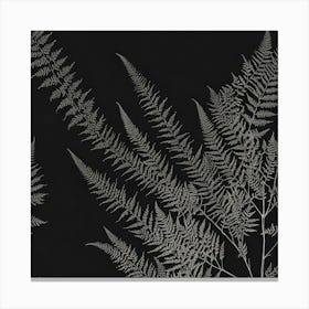 Ferns 19 Canvas Print