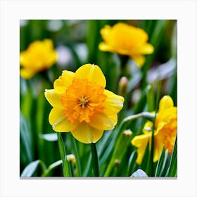 Garden Blossom Summer Grass Bloom Green Buttercup Meadow Field Spring Beautiful Yellow B (3) Canvas Print