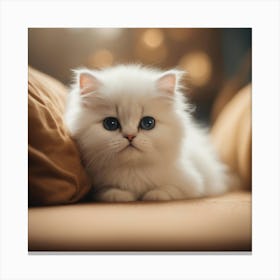 Cute Kitten 12 Canvas Print