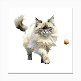 Cat Playing With A Tennis Ball Canvas Print