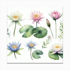 Water lily 1 Canvas Print