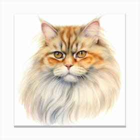 British Longhair Cat Portrait 3 Canvas Print