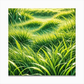 Grass Flat Surface For Background Use Mysterious (1) Canvas Print