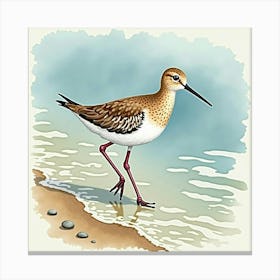 Sandpiper 4 Canvas Print