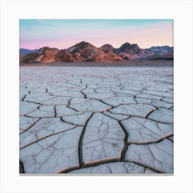 Cracked Desert Ground Canvas Print