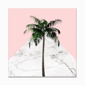 Palm Tree on Pink and Marble Wall Canvas Print