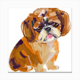 Shih Tzu 03 Canvas Print