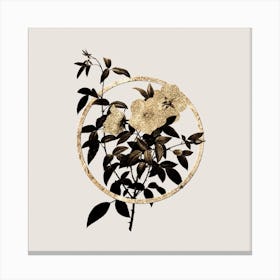 Gold Ring White Rose of Snow Glitter Botanical Illustration Canvas Print
