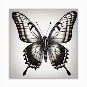 A Butter Fly 0 Canvas Print