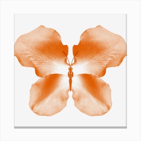 Orange Rose Petal Butterfly Canvas Print