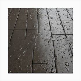Rain On Floor Texture (7) Canvas Print