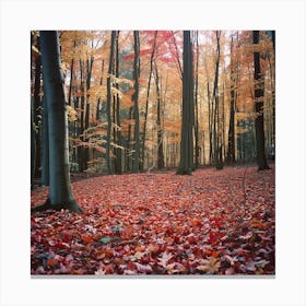 Autumn Forest Canvas Print