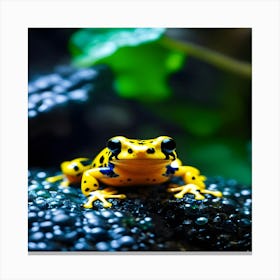 Yellow Frog Canvas Print