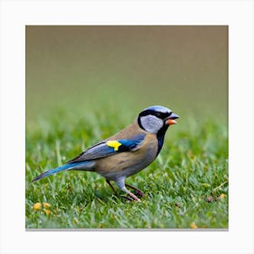 Blue Tit 5 Canvas Print