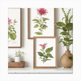 Dahlias Canvas Print