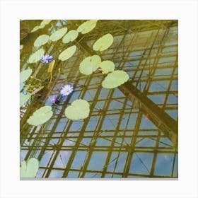 Water Lilies 1 Canvas Print