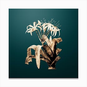 Gold Botanical Crinum Erubescens on Dark Teal Canvas Print