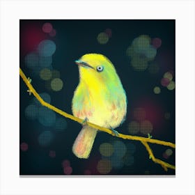 Yellow Bird Canvas Print