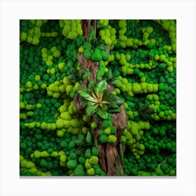 Moss Wall 4 Canvas Print