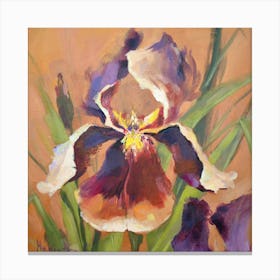 Teracota Iris Canvas Print