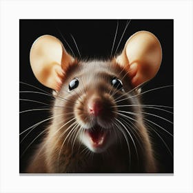 Rat With Ears Canvas Print