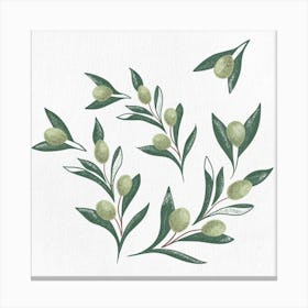 Olive dancing Canvas Print