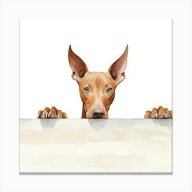 Doberman Pinscher Dog Portrait Canvas Print