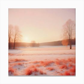 Pink Field Canvas Print