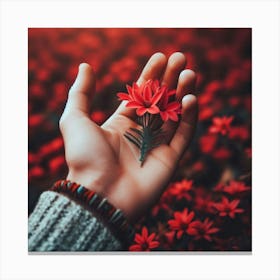 Hand Holding Red Flower Canvas Print