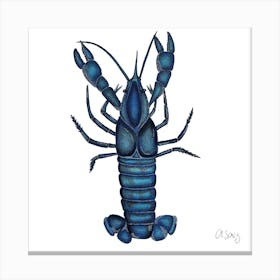 Blue Lobster. 1 Canvas Print