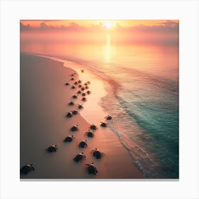 Turtles On The Beach At Sunset Canvas Print