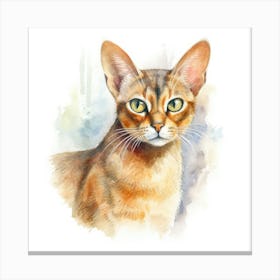 Abyssinian Cat Portrait 1 Canvas Print