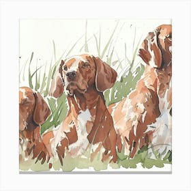 Three Irish Setters Canvas Print