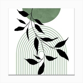 Eucalyptus Leaf Canvas Print