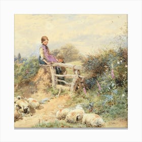 Sheeps 1 1 Canvas Print