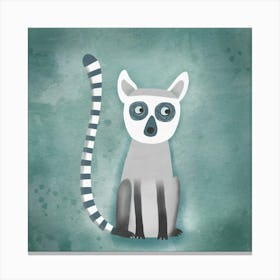 Ring Tailed Lemur Canvas Print