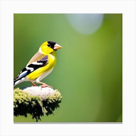 Goldfinch 18 Canvas Print