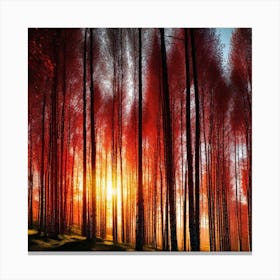 Sunset In The Forest 48 Canvas Print