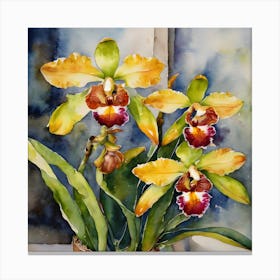 Catasetum Orchids Water Colour 2 Canvas Print