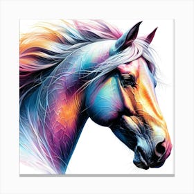 Creative Horse Visual 15 Canvas Print