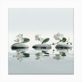 Three Orchids In Water Canvas Print