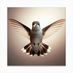 Hummingbird 5 Canvas Print