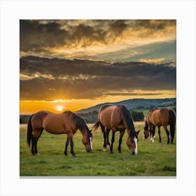 Leonardo Kino Xl Horses Graze On Grass At Sunset 1 (1) Canvas Print