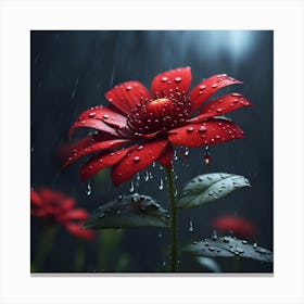 Red flower in rain Canvas Print