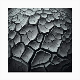 Cracked Earth Canvas Print