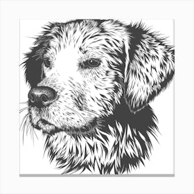 dog drawing art Canvas Print