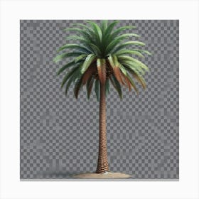 Palm Tree Isolated On Transparent Background Canvas Print